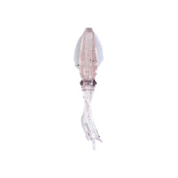 Lumica Puni-Ika 3 pouces — UV Pink
