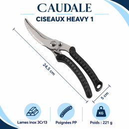 Ciseaux Heavy 1 — dimensions fournisseur 24,5 × 5 cm, inox 3Cr13, PP, 221 g ; présentation CAUDALE