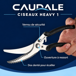 Ciseaux Heavy 1 — verrou de sécurité, ouverture à ressort et dos denté ; illustration fournisseur adaptée par CAUDALE