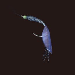 Sabiki Hayabusa EX012 Chika Rainbow Smelt UV Skin – taille 5 – 6 hameçons – détail des leurres
