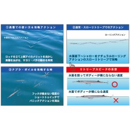 Leurre Little Jack Sayoris 135 – 135 mm – 14 g – coloris 06 Lame Clear