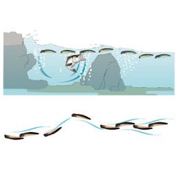 Leurre Duel Aile Magnet TG Darter 105F – 105 mm – 18 g – coloris 4 HKVK Keimura Katakuchi