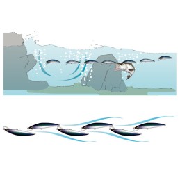 Leurre Duel Aile Magnet TG Minnow 105F – 105 mm – 18 g – coloris 8 MCL Matt Chart