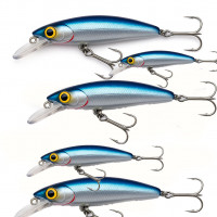 Poissons  nageurs