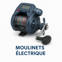 Moulinets électriques