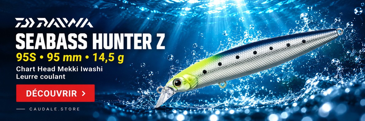 Daiwa Seabass Hunter Z 95S — 95 mm — 14,5 g — Chart Head Mekki Iwashi — ART1234