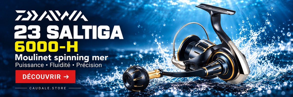 Daiwa 23 Saltiga 6000-H — moulinet spinning mer — ART2841
