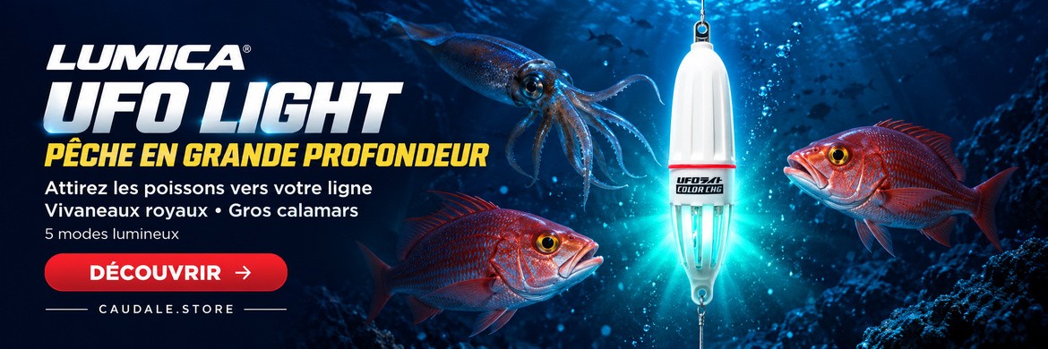 Lumica UFO Light — lampe LED sous-marine — pêche en grande profondeur — vivaneaux royaux et gros calamars — ART1413