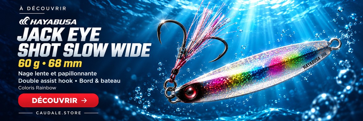 Hayabusa Jack Eye Shot Slow Wide — 60 g — 68 mm — n° 5 Rainbow (Silver Candy) — ART2982