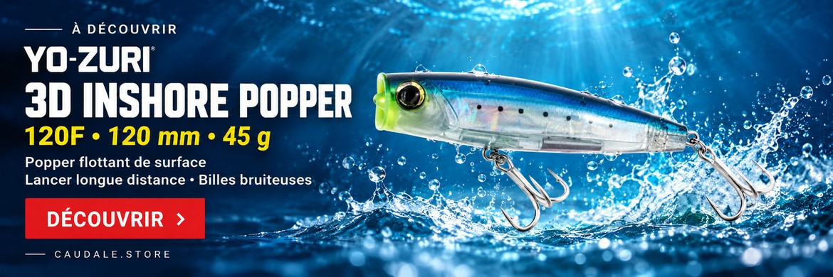 Yo-Zuri 3D Inshore Popper 120F — 120 mm — 45 g — Sardine (GHIW) — ART2361